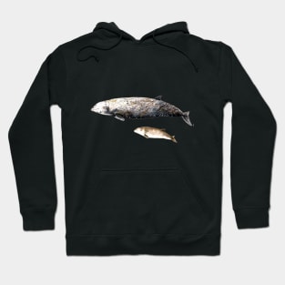 Cuvier´s beaked whale Hoodie